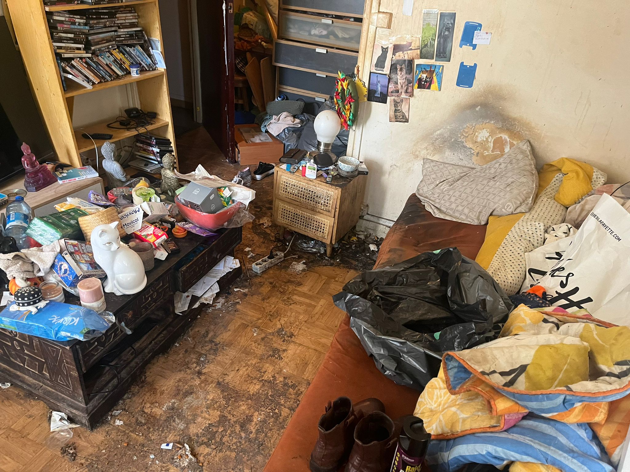 Appartement sale avant intervention